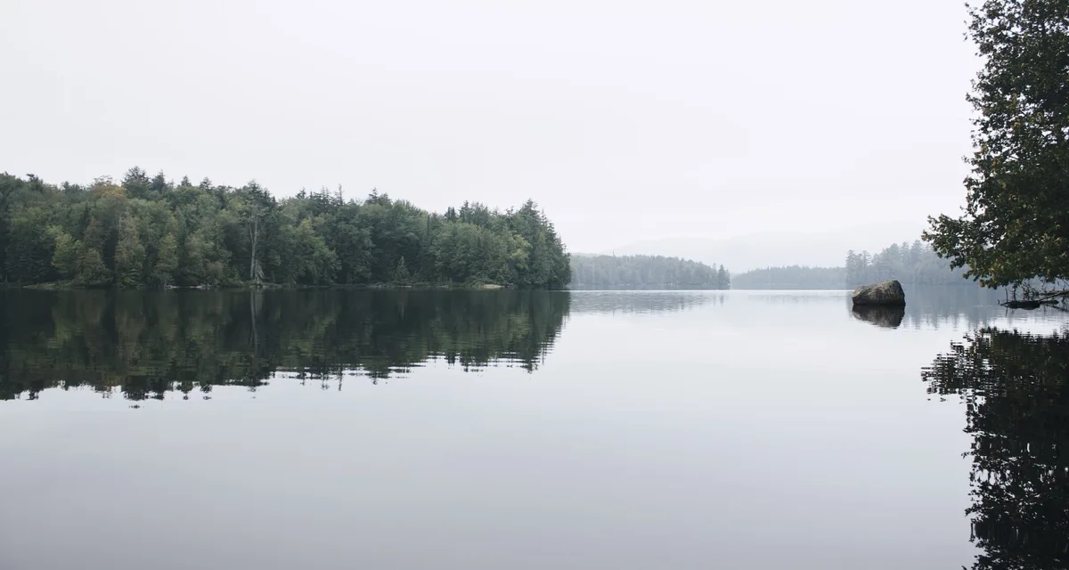 A dead calm lake mirroring a misty conifer shoreline